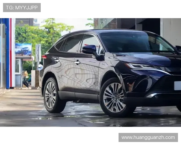 皇冠官网平台出租服务，确保您的线上平台高效稳定运行