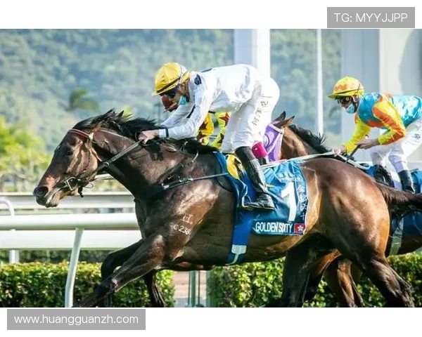 2026年赛马会网页版官方平台详细介绍及注册流程全攻略